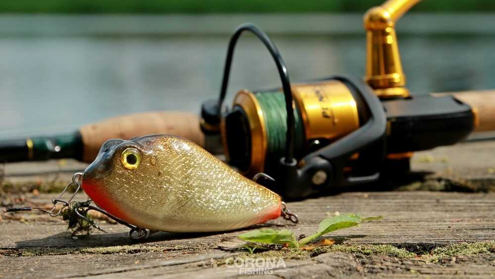 najlepsze przynęty na szczupaka